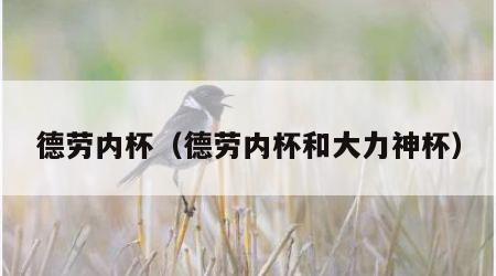德劳内杯（德劳内杯和大力神杯）