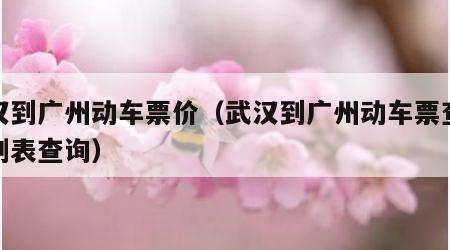 武汉到广州动车票价（武汉到广州动车票查询时刻表查询）