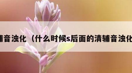 辅音浊化（什么时候s后面的清辅音浊化）