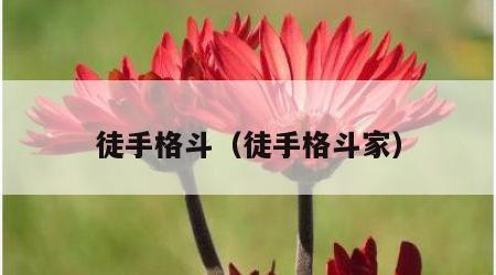 徒手格斗（徒手格斗家）