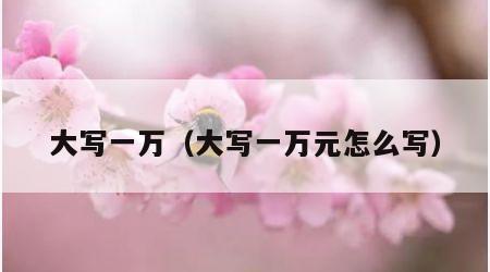 大写一万（大写一万元怎么写）