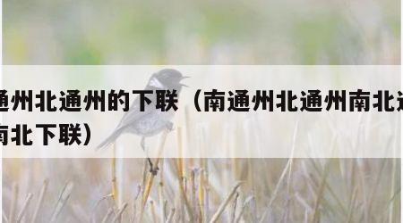 南通州北通州的下联（南通州北通州南北通州通南北下联）