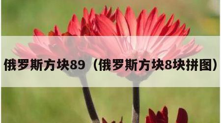 俄罗斯方块89（俄罗斯方块8块拼图）