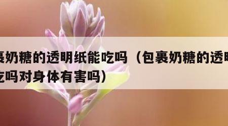 包裹奶糖的透明纸能吃吗（包裹奶糖的透明纸能吃吗对身体有害吗）