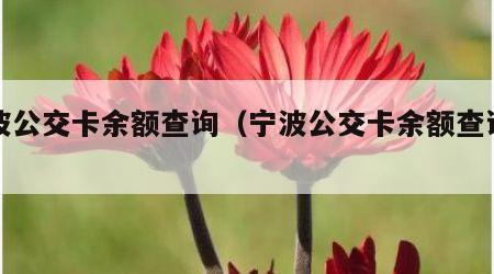 宁波公交卡余额查询（宁波公交卡余额查询系统）