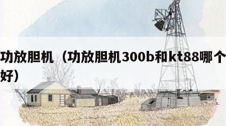 功放胆机（功放胆机300b和kt88哪个好）