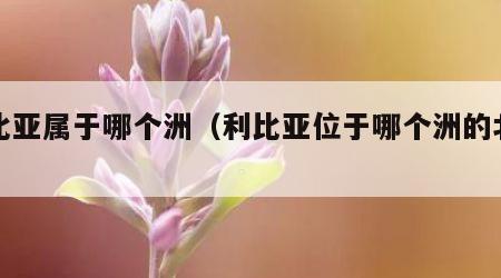 利比亚属于哪个洲（利比亚位于哪个洲的北部）