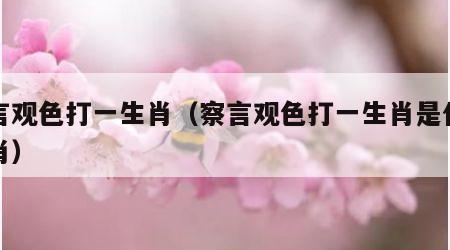 察言观色打一生肖（察言观色打一生肖是什么生肖）