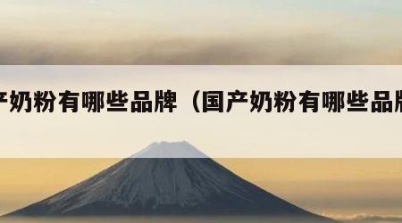 国产奶粉有哪些品牌（国产奶粉有哪些品牌大全）