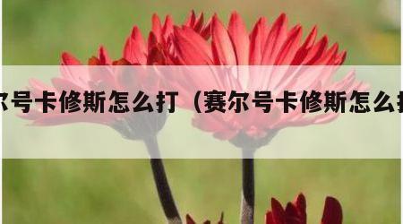 赛尔号卡修斯怎么打（赛尔号卡修斯怎么打视频）