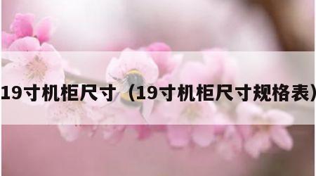 19寸机柜尺寸（19寸机柜尺寸规格表）
