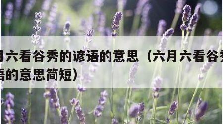 六月六看谷秀的谚语的意思（六月六看谷秀的谚语的意思简短）