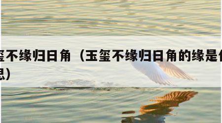 玉玺不缘归日角（玉玺不缘归日角的缘是什么意思）