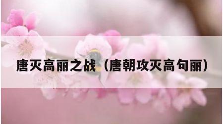 唐灭高丽之战（唐朝攻灭高句丽）