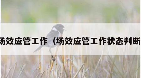 场效应管工作（场效应管工作状态判断）