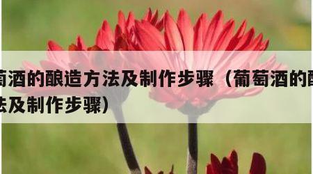 葡萄酒的酿造方法及制作步骤（葡萄酒的酿造方法及制作步骤）
