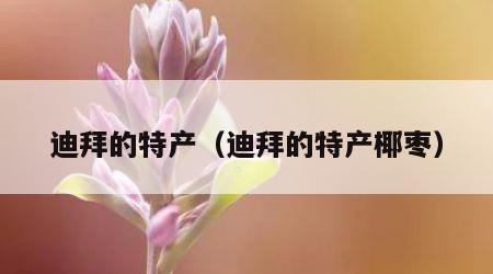 迪拜的特产（迪拜的特产椰枣）