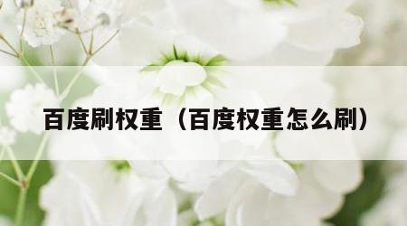 百度刷权重（百度权重怎么刷）