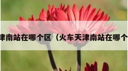 天津南站在哪个区（火车天津南站在哪个区）
