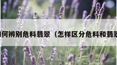 如何辨别危料翡翠（怎样区分危料和翡翠）