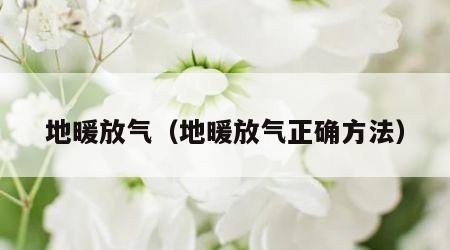 地暖放气（地暖放气正确方法）