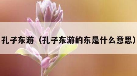 孔子东游（孔子东游的东是什么意思）