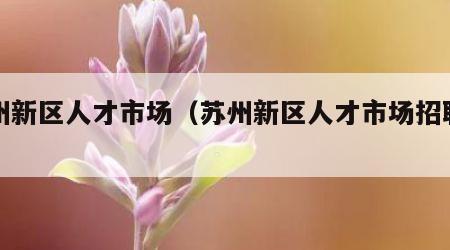 苏州新区人才市场（苏州新区人才市场招聘官网）