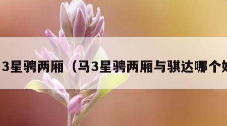 马3星骋两厢（马3星骋两厢与骐达哪个好）