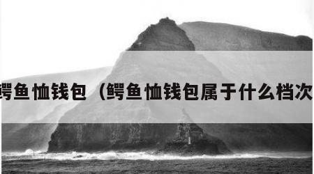 鳄鱼恤钱包（鳄鱼恤钱包属于什么档次）