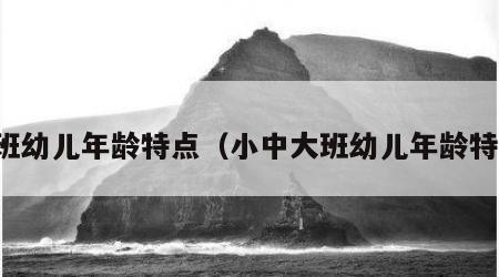 大班幼儿年龄特点（小中大班幼儿年龄特点）