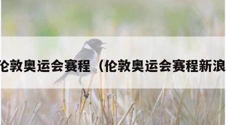 伦敦奥运会赛程（伦敦奥运会赛程新浪）