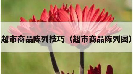超市商品陈列技巧（超市商品陈列图）