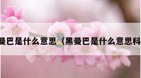 黑曼巴是什么意思（黑曼巴是什么意思科比）