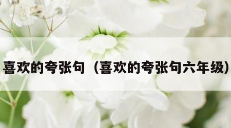 喜欢的夸张句（喜欢的夸张句六年级）