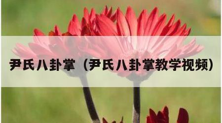 尹氏八卦掌（尹氏八卦掌教学视频）