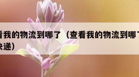查看我的物流到哪了（查看我的物流到哪了顺丰快递）