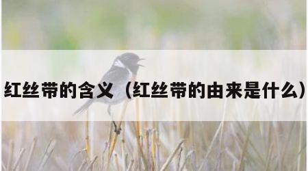 红丝带的含义（红丝带的由来是什么）