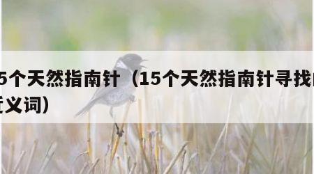 15个天然指南针（15个天然指南针寻找的近义词）