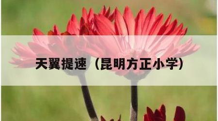 天翼提速（昆明方正小学）