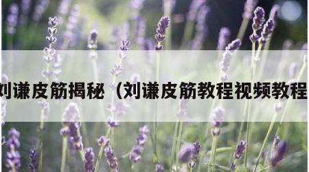 刘谦皮筋揭秘（刘谦皮筋教程视频教程）