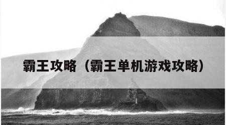 霸王攻略（霸王单机游戏攻略）