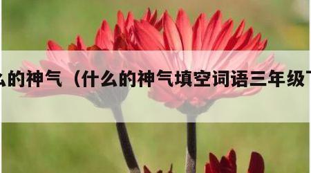 什么的神气（什么的神气填空词语三年级下册）