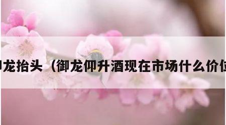 御龙抬头（御龙仰升酒现在市场什么价位）
