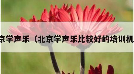 北京学声乐（北京学声乐比较好的培训机构）