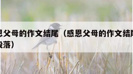 感恩父母的作文结尾（感恩父母的作文结尾优美段落）