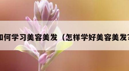 如何学习美容美发（怎样学好美容美发?）