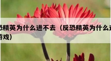 反恐精英为什么进不去（反恐精英为什么进不去游戏）