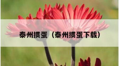 泰州掼蛋（泰州掼蛋下载）