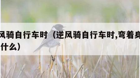 逆风骑自行车时（逆风骑自行车时,弯着身体,叫什么）