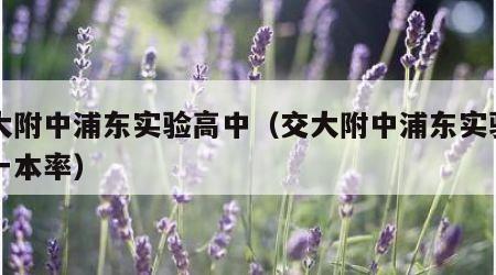 交大附中浦东实验高中（交大附中浦东实验高中一本率）